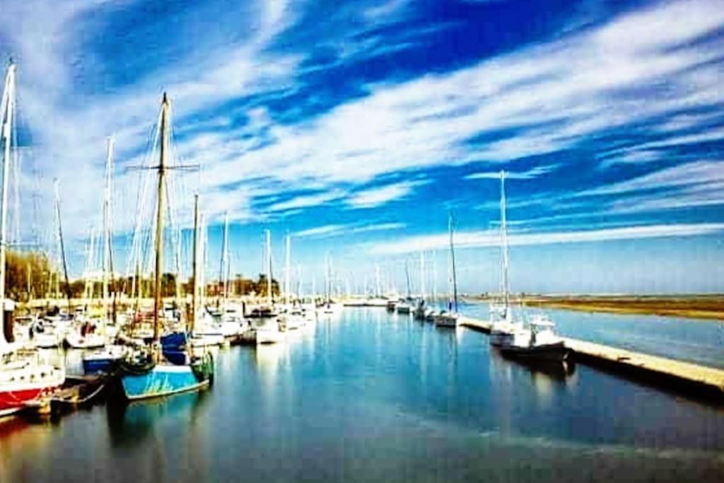 A Gaivota Ria Formosa Waterfront Lux Apart With Pool, Olhao, Algarve Bagian luar foto